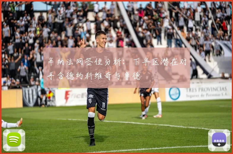 辛纳法网签位分析：下半区潜在对手含德约科维奇与鲁德
