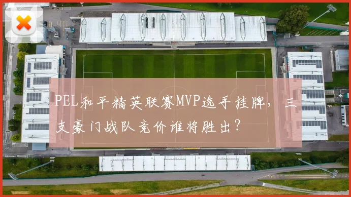 PEL和平精英联赛MVP选手挂牌，三支豪门战队竞价谁将胜出？